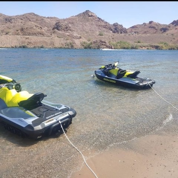 Meet your Posher, Lucy - Picture 1 of 1